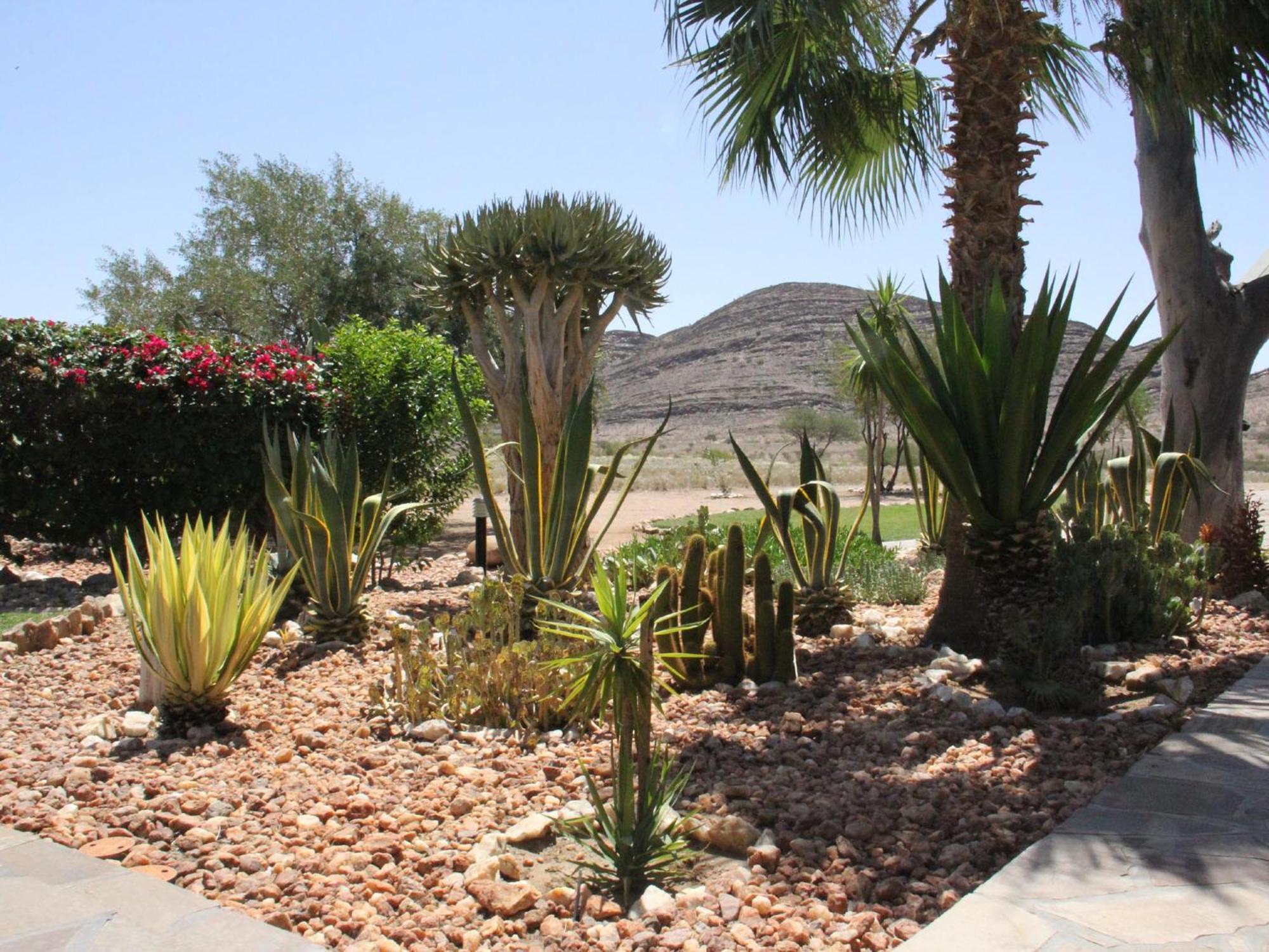 Rooisand Desert Ranch Chausib Quarto foto